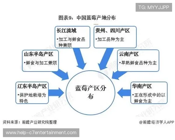 拜仁三巨头掌舵俱乐部战略布局与未来发展分析 拜仁三巨头掌舵俱乐部战略布局与未来发展分析